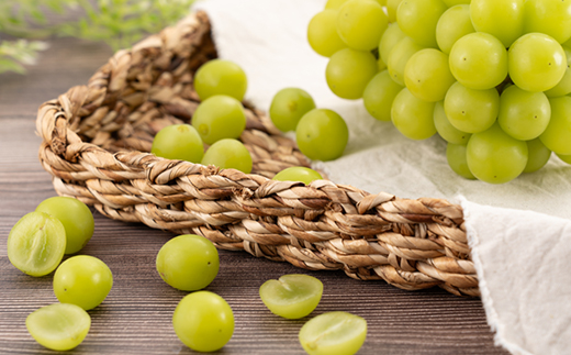 ãèš³ãããã·ã£ã€ã³ãã¹ã«ãã 2Kgãé
éäžå¯å°åïŒé¢å³¶ãã1631232ã