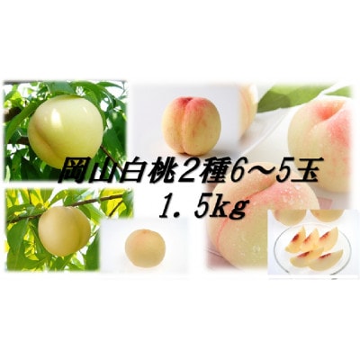 岡山白桃食べ比べ　晩生種2種5〜6玉【配送不可地域：離島】【1684889】