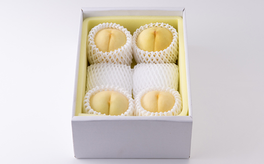 2026蟷エ蜈郁。御コ育エ縲蟯。螻ア逋ス譯(縺泌ョカ蠎ュ逕ィ)1.2繧ュ繝ュ(1邂ア4縲6邇)縲宣埼∽ク榊庄蝨ー蝓滂シ夐屬蟲カ縲代1598090縲