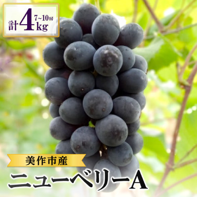 2026年先行受付　美作市産　ニューベリーA　約4kg(7〜10房)【配送不可地域：離島・北海道・沖縄県】【1477225】