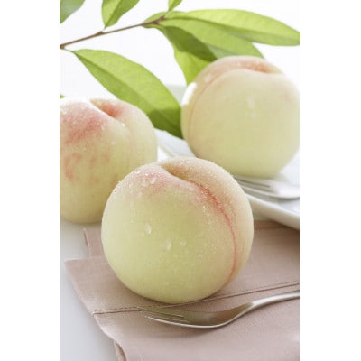 2026年 岡山白桃ロイヤル晩生(1箱3玉)800g【配送不可地域：離島】【1611258】