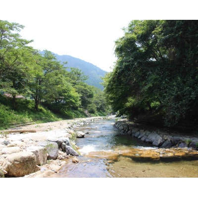 æžæµé£ãäœéšã倧人1åå
¥å Žåžãã1672835ã