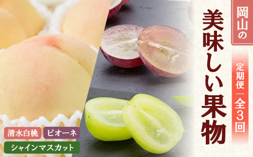 【発送月固定定期便】26年先行予約 岡山の美味しい果物 清水白桃・ピオーネ・シャインマスカット全3回【配送不可地域：離島】【4069070】