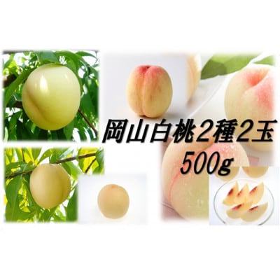 岡山白桃食べ比べ　早生2種2玉【配送不可地域：離島】【1684880】
