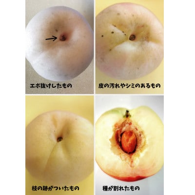 【2026年7月中旬より順次発送予定】岡山の桃　品種おまかせ『訳あり桃』　2kg箱(約6〜9玉入り)【配送不可地域：離島・北海道・沖縄県】【1715289】