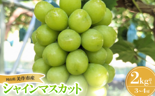 【2026年先行受付】岡山県美作市産 シャインマスカット 2kg【配送不可地域：離島】【1609174】