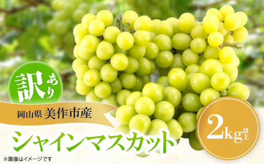 【訳あり】シャインマスカット 2Kg【配送不可地域：離島】【1631232】