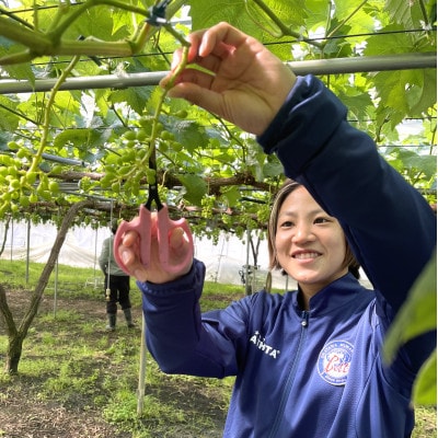 【2025年先行受付】岡山県美作市産　Belleシャインマスカット 2kg(3房〜5房)【配送不可地域：離島】【1430610】