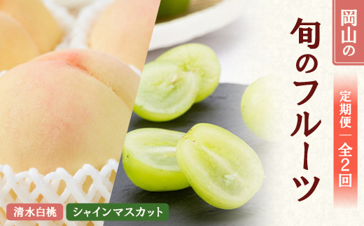 【発送月固定定期便】 2026年先行予約　岡山フルーツ旬の果物 清水白桃+シャインマスカット全2回【配送不可地域：離島】【4069071】