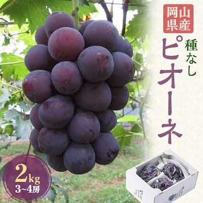 【2週間毎定期便】ぶどうのセット(ピオーネ2kg・シャインマスカット1房)全2回【配送不可地域：離島】【4085671】