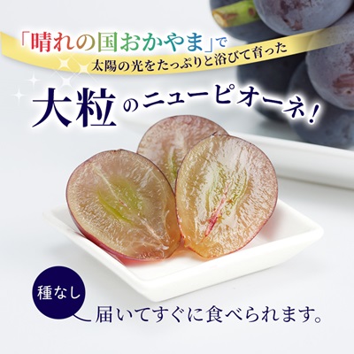 ニューピオーネ　2kg(3房〜5房)【配送不可地域：離島】【1074126】