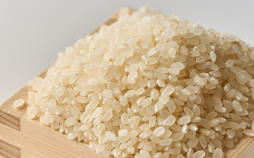 コシヒカリ　いっちょ米(5kg×2袋)【1536084】