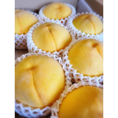 【先行予約★2026年9月中旬より順次発送予定】岡山県産　黄金桃(2kg箱)【配送不可地域：離島・北海道・沖縄県】【1667464】