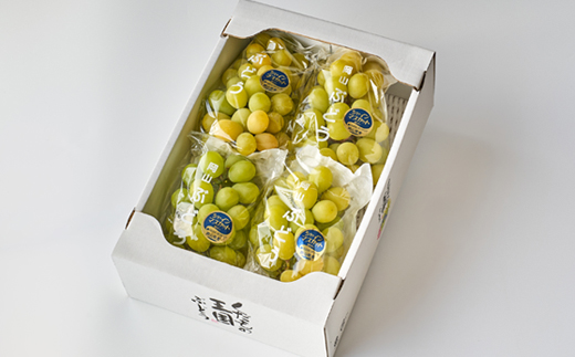 2026年先行受付【家庭用】美作市産シャインマスカット　2kg以上(3〜5房)【配送不可地域：離島・北海道・沖縄県】【1147811】