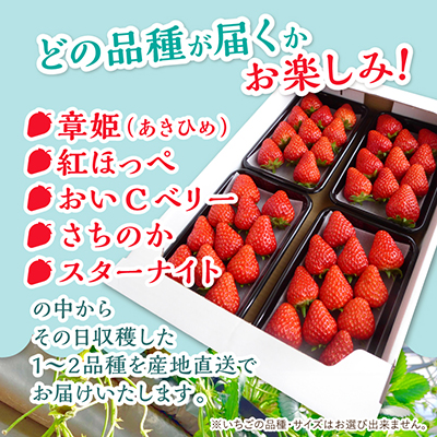 【2026年4月より順次発送】岡山県美作市産　いちご詰合せ(約280g×4パック)【配送不可地域：離島・北海道・沖縄県】【1073695】