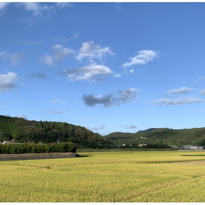 ã什å7幎ç£ã粟米ããã¬ããã5kg&ãã¡ãè©°åã(çŽ280gÃ2ããã¯)ãé
éäžå¯å°åïŒé¢å³¶ã»åæµ·éã»æ²çžçãã1676469ã