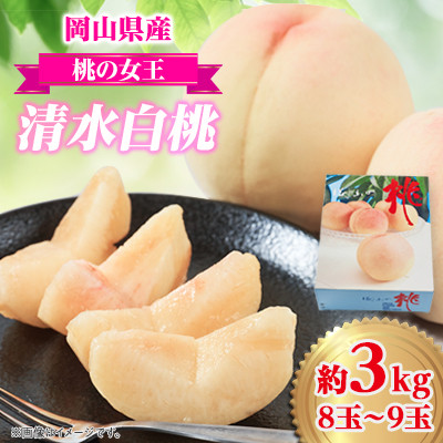 2026年先行予約　岡山県産　清水白桃　3kg(8〜9玉)【配送不可地域：離島】【1615820】