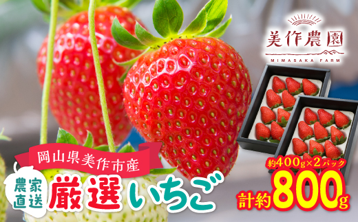 岡山県美作市産　厳選2品種いちご詰合せ(約400g×2パック)【配送不可地域：離島・北海道・沖縄県】【1073697】