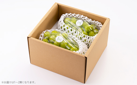 çŸäœåžç£ã·ã£ã€ã³ãã¹ã«ãã1Kgãé
éäžå¯å°åïŒé¢å³¶ãã1626496ã