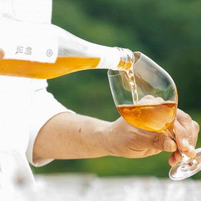 åª -nagi- æåª -asanagi- / 2æ¬ã»ããã1614886ã