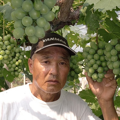 【2025年先行受付】岡山県産シャインマスカット2kg(3〜4房)【配送不可地域：離島】【1088752】