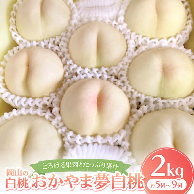 【先行予約・2026年8月上旬より発送予定】岡山の白桃・おかやま夢白桃(2kg箱)【配送不可地域：離島】【1294298】