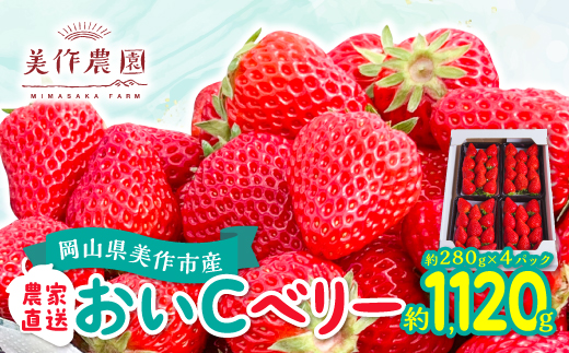 【2025年4月発送開始】岡山県美作市産　おいCベリー(約280g×4パック)【配送不可地域：離島・北海道・沖縄県】【1464411】