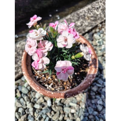 繧ォ繝シ繝阪シ繧キ繝ァ繝ウ繧剃スソ縺」縺溷ッ縺帶、阪∴繝悶Μ繧ュ驩「縲宣埼∽ク榊庄蝨ー蝓滂シ夐屬蟲カ繝サ蛹玲オキ驕薙サ豐也ク逵後代1625251縲