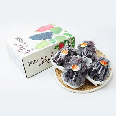 【2026年先行受付】果汁たっぷり朝採りピオーネ2kg【配送不可地域：離島・北海道・沖縄県】【1073054】