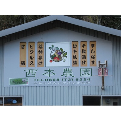 辛しなす　6パックセット【配送不可地域：離島】【1703990】