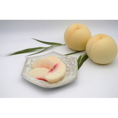 2026年 岡山白桃ロイヤル晩生(1箱3玉)800g【配送不可地域：離島】【1611258】