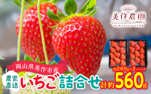 【2026年4月より順次発送】岡山県美作市産　いちご詰合せ(約280g×2パック)【配送不可地域：離島・北海道・沖縄県】【1130056】
