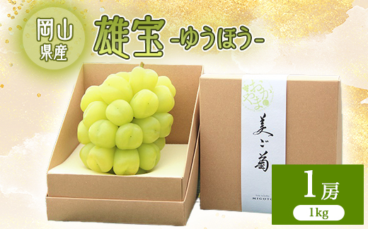 2026年先行予約　雄宝　1房　1キロ【配送不可地域：離島】【1616174】
