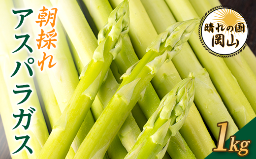 岡山県産　朝採れアスパラガス　1キロ【配送不可地域：離島】【1143586】