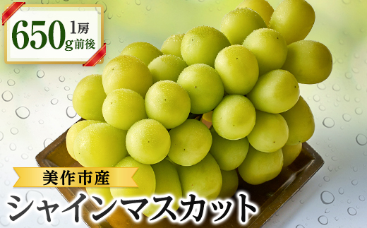 2026幎å
è¡åä»ãçŸäœåžç£ã·ã£ã€ã³ãã¹ã«ãã650gååŸã1æ¿ãé
éäžå¯å°åïŒé¢å³¶ã»åæµ·éã»æ²çžçãã1295227ã