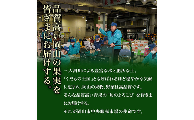 【2025年先行予約】定期便6回コース 岡山のフルーツ 清水白桃 6玉 岡山の白桃 6玉 ニューピオーネ 1房 瀬戸ジャイアンツ 1房 シャインマスカット 晴王 2房 紫苑 1房 あたご梨 4~5玉 株式会社山博(中本青果) 《2025年7月上旬-12月下旬頃出荷》岡山県 浅口市 【配送不可地域あり】（北海道・沖縄・離島）