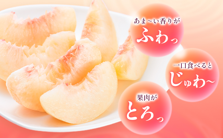 ã2026幎å
è¡äºçŽãæ¡ å²¡å±±çœæ¡ çŽ1.4kg 5-7ç æ ªåŒäŒç€Ÿèã2026幎7æäžæ¬-7ææ«é ããçºéäºå®ã å²¡å±±ç æµ
å£åž 岡山çç£ ãã ãã«ãŒã æç© ãã ãã® çœæ¡ éæç¡æa-1