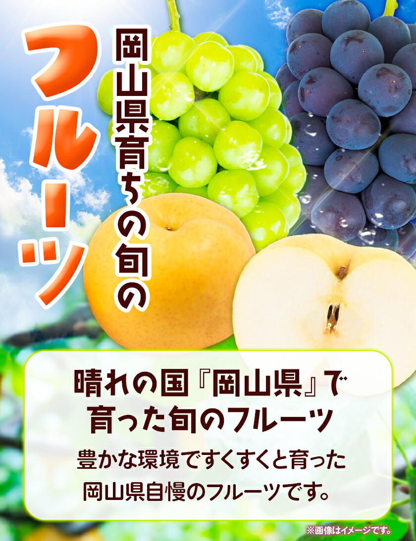【2025年先行予約】定期便3回コース 岡山のフルーツ ニューピオーネ 2房 シャインマスカット 晴王 2房 あたご梨 2玉 (1玉約750g) 化粧箱入り 株式会社山博(中本青果) 《2025年9月上旬-11月下旬頃出荷》 岡山県 浅口市 果物 送料無料 【配送不可地域あり】（北海道・沖縄・離島）