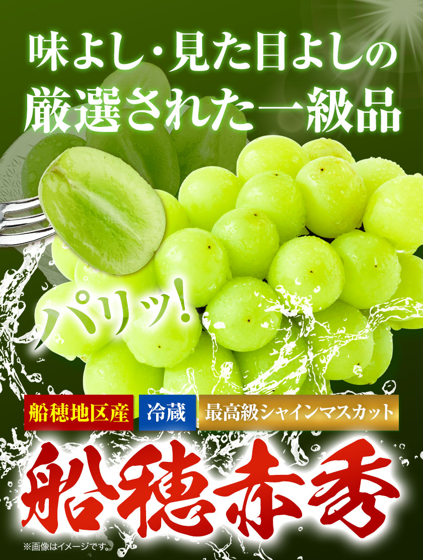 最高級 シャインマスカット [2025年先行予約] ぶどう 船穂赤秀 2房 1.3kg 岡山県産《9月上旬-11月中旬頃出荷(土日祝除く)》 ハレノフルーツ マスカット 送料無料 岡山県 浅口市 フルーツ 果物 贈り物 ギフト 国産 岡山県産【配送不可地域あり】