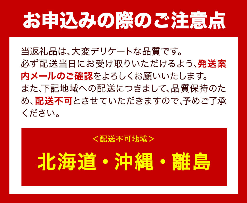 ぶどう [2024年先行予約] シャインマスカット 晴王 2房 1.4kg 岡山県産《9月上旬-11月中旬頃出荷(土日祝除く)》 ハレノフルーツ マスカット 送料無料 岡山県 浅口市 フルーツ 果物 贈り物 ギフト 国産 岡山県産 くだもの 青果物 【配送不可地域あり】