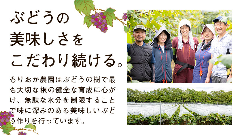 ぶどう ピオーネ と シャインマスカット ミックス ご家庭用 約5kg (7-13房)《10月上旬-10月下旬頃出荷》もりおか農園 送料無料 岡山県 浅口市 ぶどう フルーツ 果物 くだもの 家庭用 【配送不可地域あり】