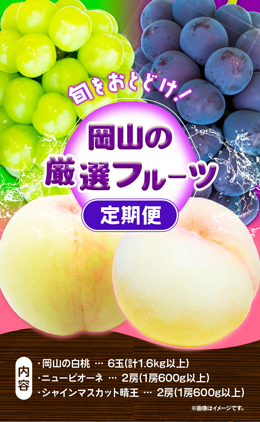 【2025年先行予約】岡山の厳選フルーツ 定期便3回コース 岡山の白桃 6玉(1.6kg以上) ニューピオーネ 2房(1房600g以上) シャインマスカット 晴王 2房(1房600g以上) 化粧箱入り 株式会社山博(中本青果) 《2025年7月上旬-10月下旬頃出荷》岡山県 浅口市 送料無料 【配送不可地域あり】（北海道・沖縄・離島）