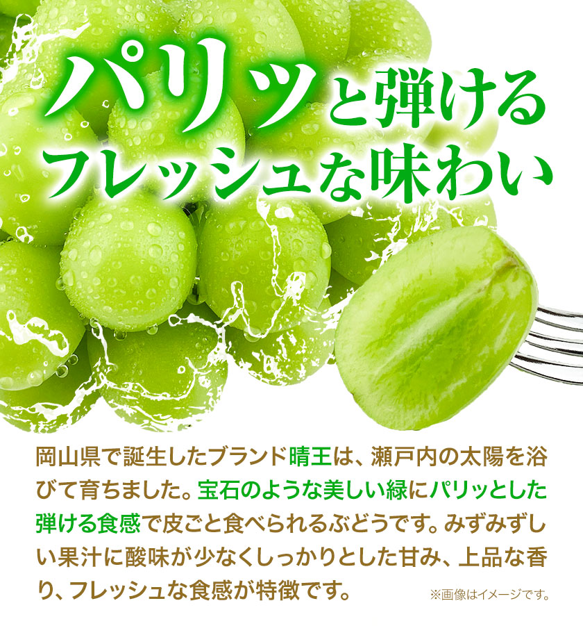 ぶどう [2024年先行予約] シャインマスカット 晴王 1房 650g 岡山県産《9月上旬-11月中旬頃出荷(土日祝除く)》 ハレノフルーツ マスカット 送料無料 岡山県 浅口市 フルーツ 果物 贈り物 ギフト 国産 岡山県産 くだもの 青果物 【配送不可地域あり】