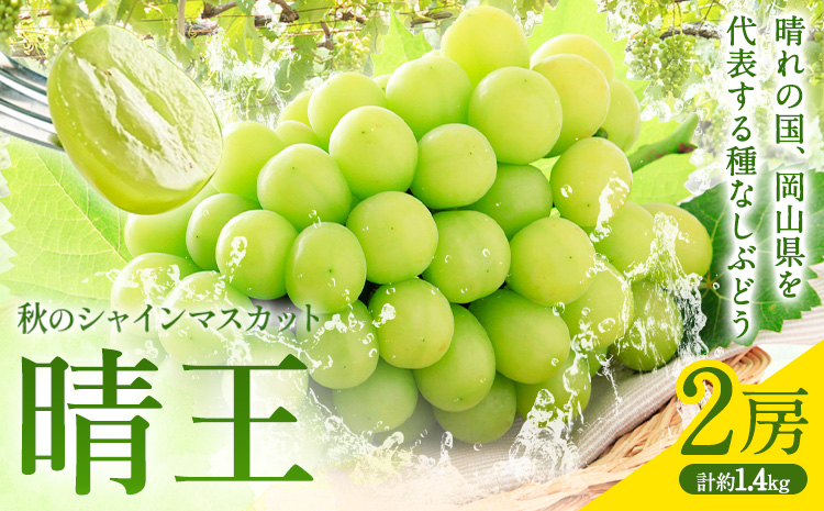 【2026年先行予約】秋のシャインマスカット 晴王  2房 環山堂株式会社《2026年9月上旬-10月上旬頃出荷》岡山県 浅口市 シャインマスカット マスカット ぶどう 果物 フルーツ 送料無料