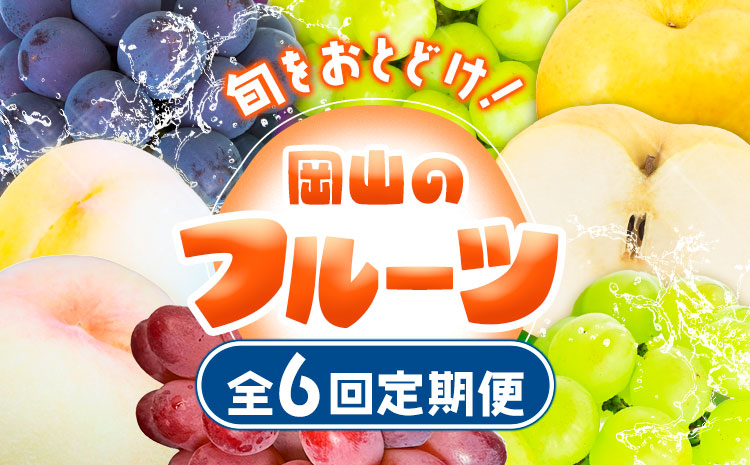 【2025年先行予約】定期便6回コース 岡山のフルーツ 清水白桃 6玉 岡山の白桃 6玉 ニューピオーネ 1房 瀬戸ジャイアンツ 1房 シャインマスカット 晴王 2房 紫苑 1房 あたご梨 4~5玉 株式会社山博(中本青果) 《2025年7月上旬-12月下旬頃出荷》岡山県 浅口市 【配送不可地域あり】（北海道・沖縄・離島）