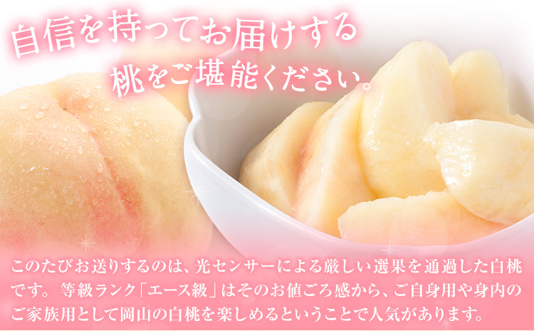 【2026年先行予約】岡山の白桃 等級 エース 約1.5kg(5〜6玉) 清水白桃 おかやま夢白桃 白鳳 白麗 なつおとめ 晴れの国 岡山農業協同組合 鴨方支店 《7月上旬-7月末頃出荷》岡山県 浅口市 岡山県産 白桃 桃 もも モモ 果物 フルーツ 送料無料【配送不可地域あり】（北海道・沖縄・離島）a-1