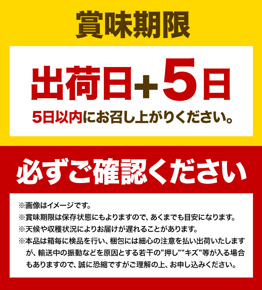 ぶどう [2025年先行予約] シャインマスカット 晴王 2房 1.3kg 岡山県産《9月上旬-11月中旬頃出荷(土日祝除く)》 ハレノフルーツ マスカット 送料無料 岡山県 浅口市 フルーツ 果物 贈り物 ギフト 国産 岡山県産 くだもの 青果物 【配送不可地域あり】