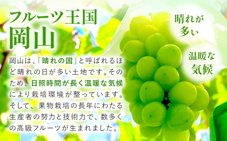 ãå
è¡äºçŽã岡山çç£ ã€ãä»ã ã·ã£ã€ã³ãã¹ã«ãã 2æ¿ ïŒ580g以äžïŒ ç¡å æž©æ œå¹ æéäŒç€ŸããŒãã£ã«ã«ãã£ãŒç¥å³¶ã9æäžæ¬-10æäžæ¬é ã«åºè·äºå®ãå²¡å±±ç æµ
å£åž ãã¹ã«ãã ã¶ã©ã è¡è æç©ãé
éäžå¯å°åããã