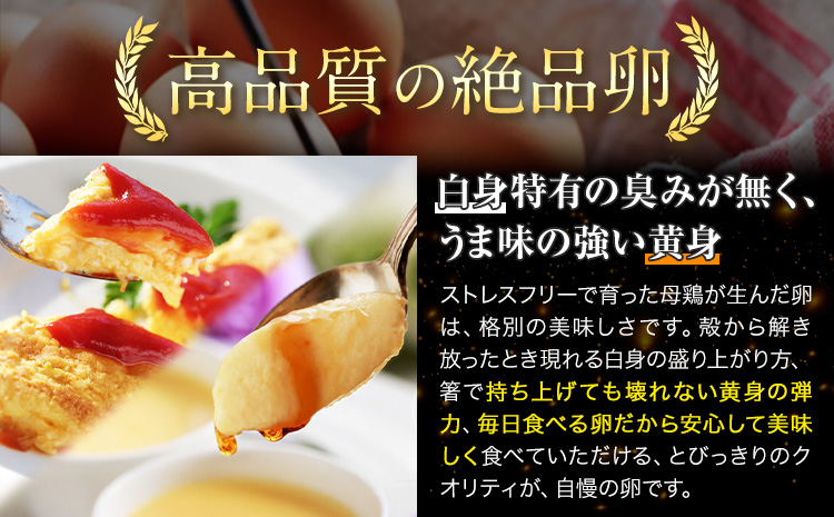 卵 たまご 6ヶ月 定期便 赤玉 夢の卵 ファミリー 50個 計300個《お申込み月翌月から出荷開始》株式会社めぐみ 岡山県 浅口市7 送料無料 25個 × 2セット たっぷり 家族 食卓a-8