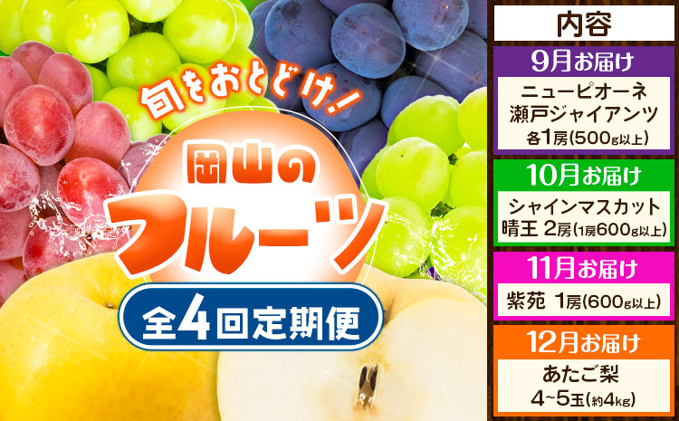 【先行予約】定期便4回コース 岡山のフルーツ ニューピオーネ 1房 瀬戸ジャイアンツ 1房 シャインマスカット 晴王 2房 紫苑 1房 あたご梨 4~5玉 化粧箱入り 株式会社山博(中本青果) 《9月上旬-12月下旬頃出荷》 岡山県 浅口市 果物 送料無料 【配送不可地域あり】（北海道・沖縄・離島）a-9